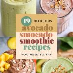 19 Delicious Avocado Smoothie Recipes You Need to Try