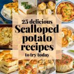 25 Delicious Scalloped Potato Recipes to Try Today