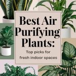 Best Air Purifying Plants Top Picks for Fresh Indoor Spaces