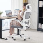 Best Desk Chair for Scoliosis