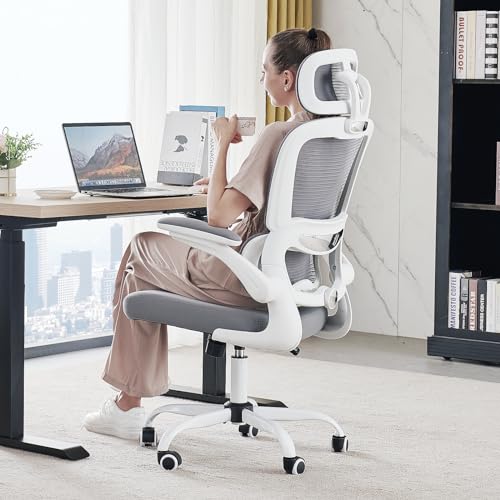Best Desk Chair for Scoliosis