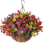 Best Flower for Hanging Basket
