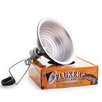 Best Heat Lamp for Bearded Dragon