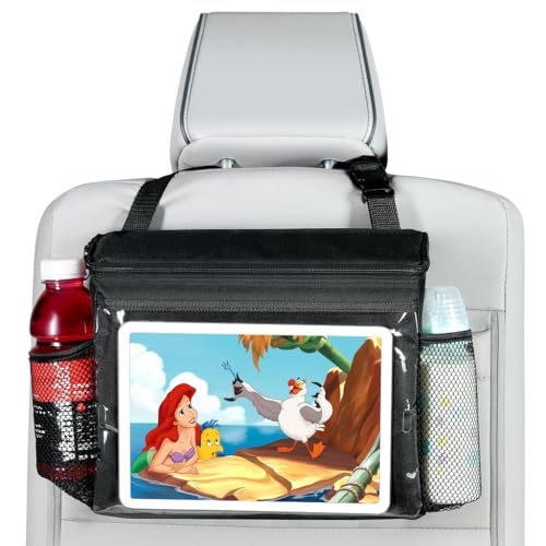 Best Ipad Holder for Car