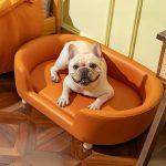 Best Leather Couch for Dogs