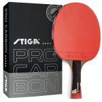 Best Table Tennis Bats for Professionals