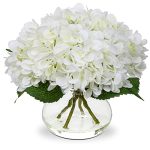 Best Vase for Hydrangeas
