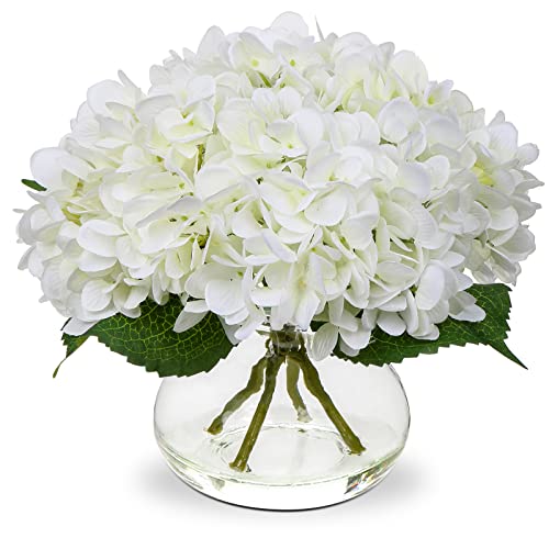 Best Vase for Hydrangeas