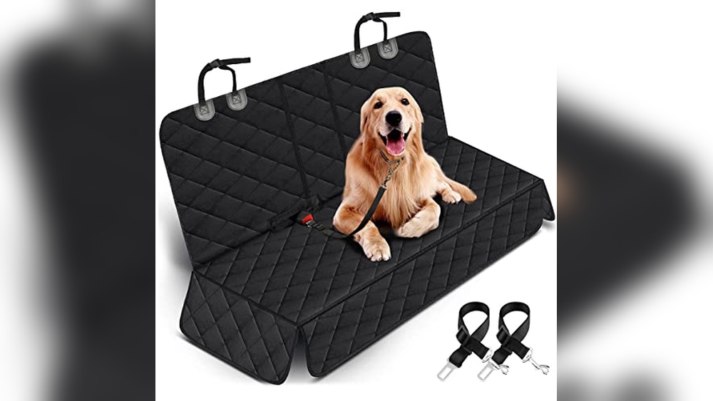 Best Back Seat Cover for Car Seats