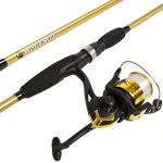 Best Inexpensive Fishing Pole