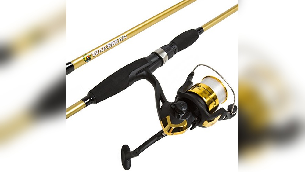 Best Inexpensive Fishing Pole