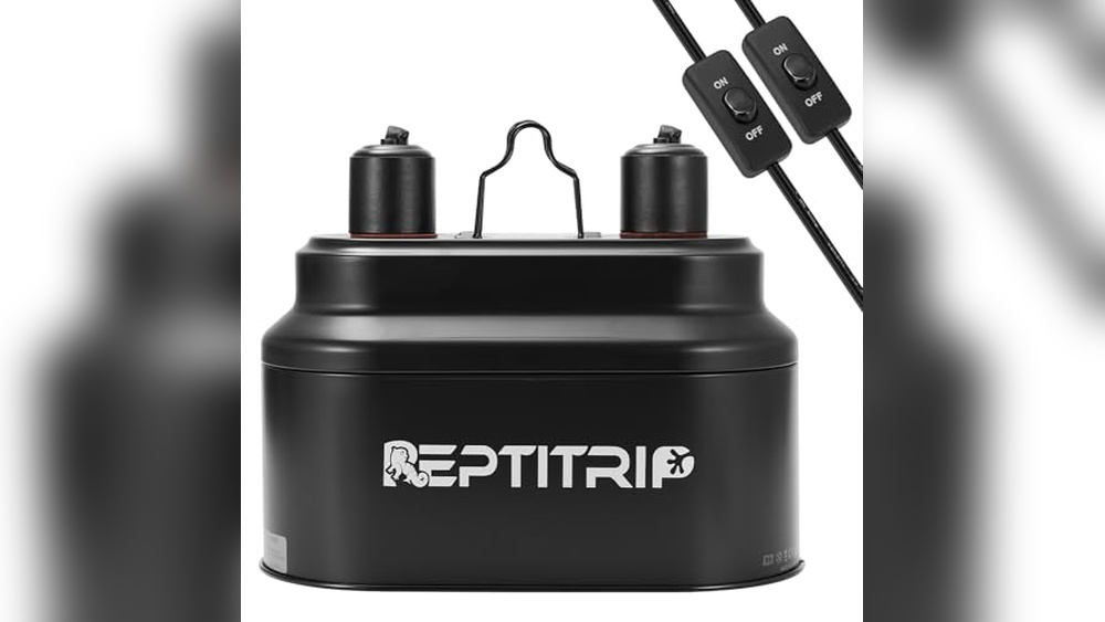 Best Lamp for Bearded Dragon