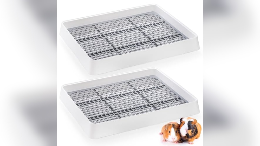 Best Litter Tray for Rabbits