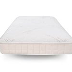 Best Naturepedic Mattress