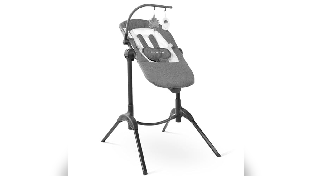 Best Newborn High Chair