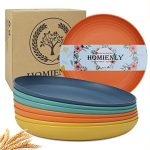 Best Non Plastic Plates for Kids
