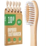 Best Non Toxic Toothbrush