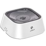 Best Slow Drinking Water Bowl for Dogs