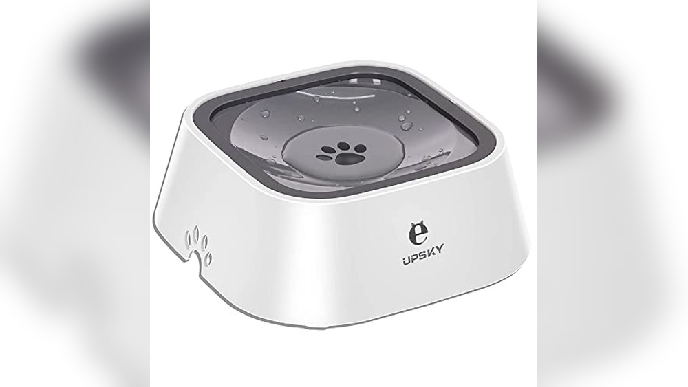 Best Slow Drinking Water Bowl for Dogs