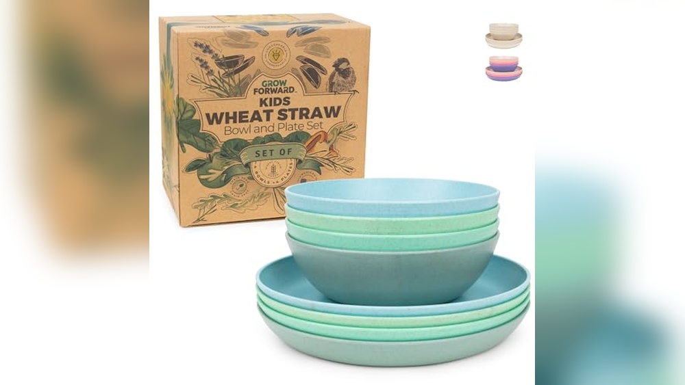 Best Toddler Plates Non Toxic