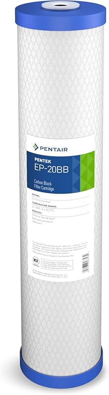 Pentair Pentek EP-20BB Big Blue Carbon Water Filter: Whole House Repla