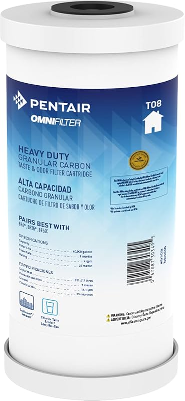 Pentair OMNIFilter TO8 25 Micron 10x4.5 Whole House Granular Carbon Fi