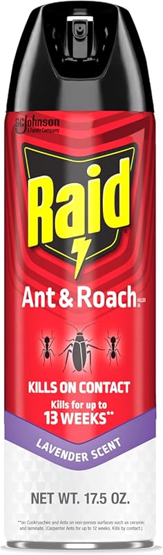 Raid Ant & Roach Killer Aerosol Spray – Kills on Contact, 13-Week Resi