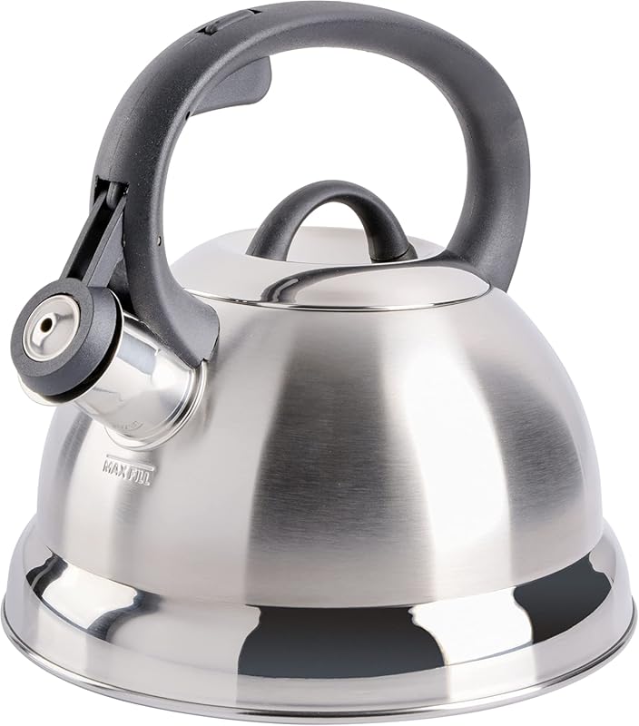 10 Best Whistling Tea Kettle For Gas Stove: Expert-Approved Quality