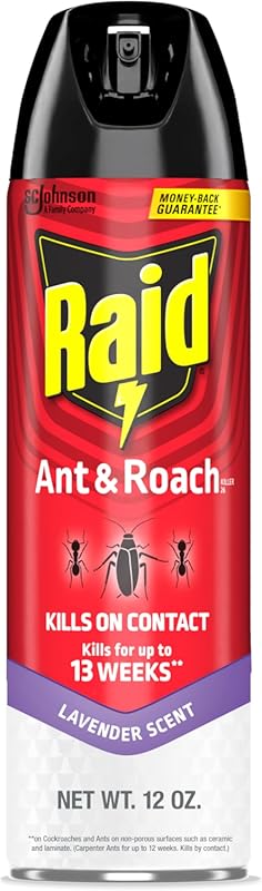 Raid Ant & Roach Killer Spray – Kills Listed Bugs, Long-Lasting for We