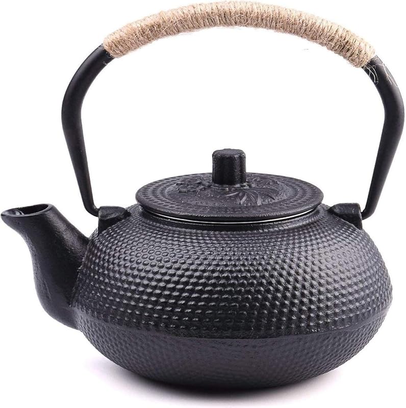 Suyika 22 oz Japanese Tetsubin Cast Iron Teapot, Stovetop Safe Kettle 