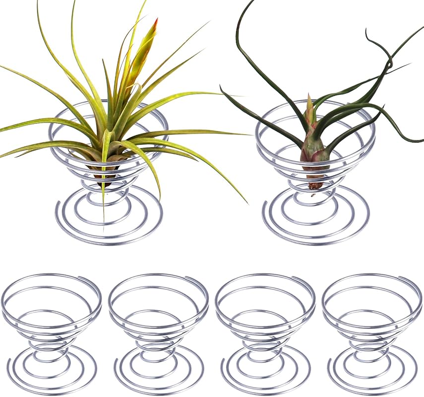 Shappy 6 Pcs Stainless Steel Air Plant Holders