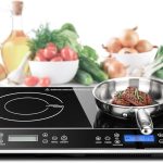 The 10 Best 2 Burner Induction Cooktop: Expert Reviewed & Rated