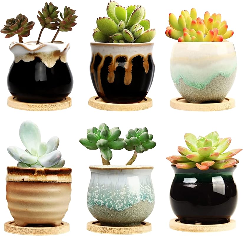 Brajttt 2.1-Inch Small Ceramic Succulent Pot with Drainage Holes, Flow