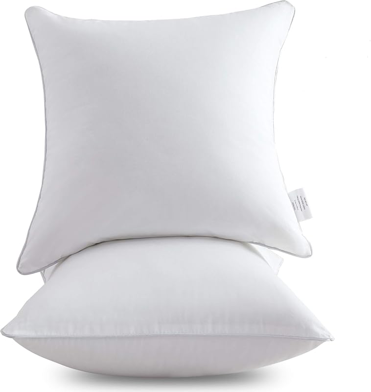 Leeden 18x18 Square Throw Pillow Inserts (Set of 2) with 100% Cotton C