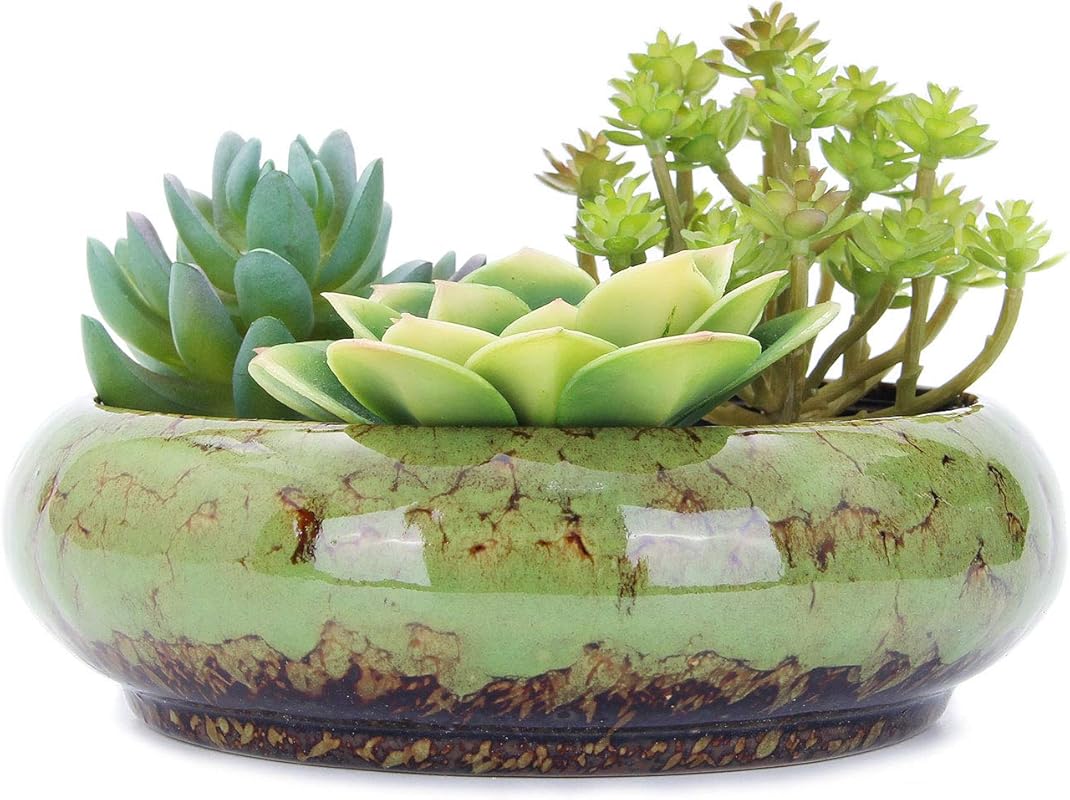VanEnjoy 7.3-Inch Round Shallow Ceramic Glazed Succulent Planter Pot w