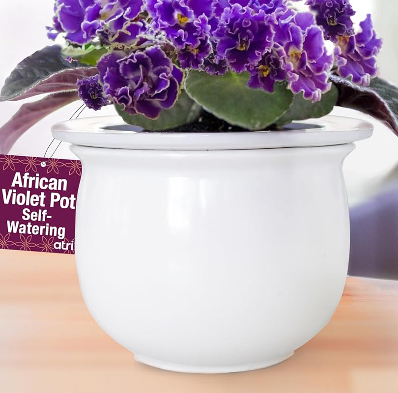 6.5 Inch Ceramic Self Watering African Violet Pot for Indoor Plants, G