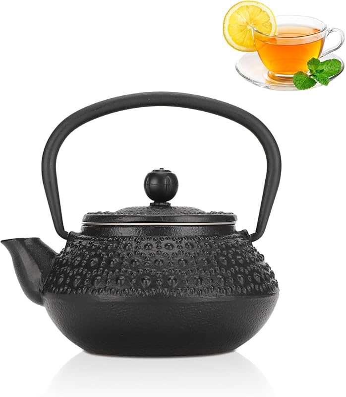 Japanese Tetsubin 10oz Cast Iron Teapot, Raindrop Style with Stainless