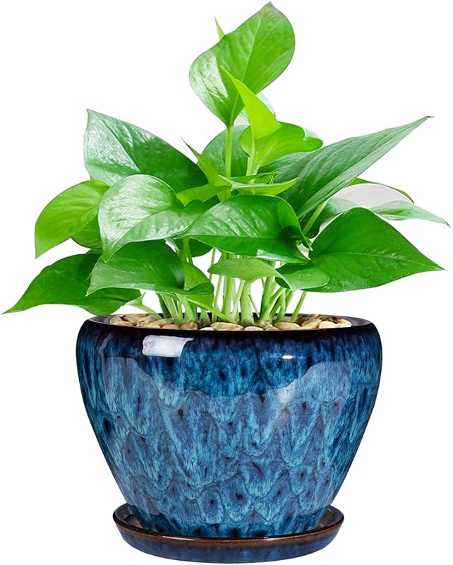 Modern Glaze Ceramic Succulent Planter (6-Inch) for Indoor/Outdoor Pla