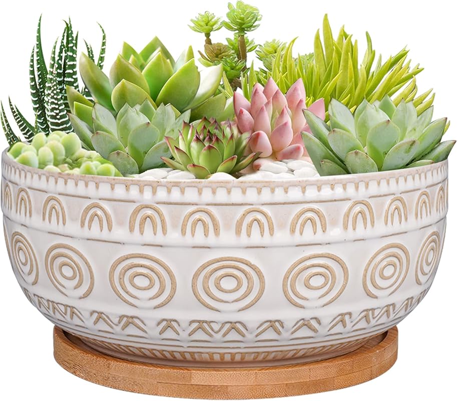 8-Inch Round Shallow Ceramic Succulent Pot with Drainage Hole & Saucer