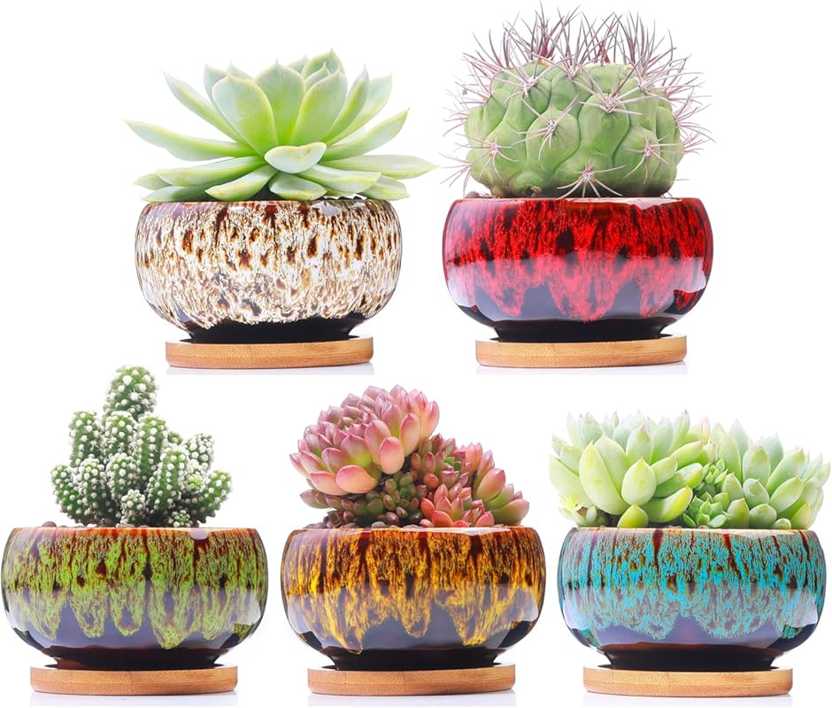Cute Round Ceramic Succulent Planter Pots, Set of 5, with Drainage and