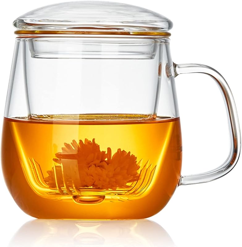 Large 17.6 oz Borosilicate Glass Tea Cup, Infuser & Lid, Clear Mug for