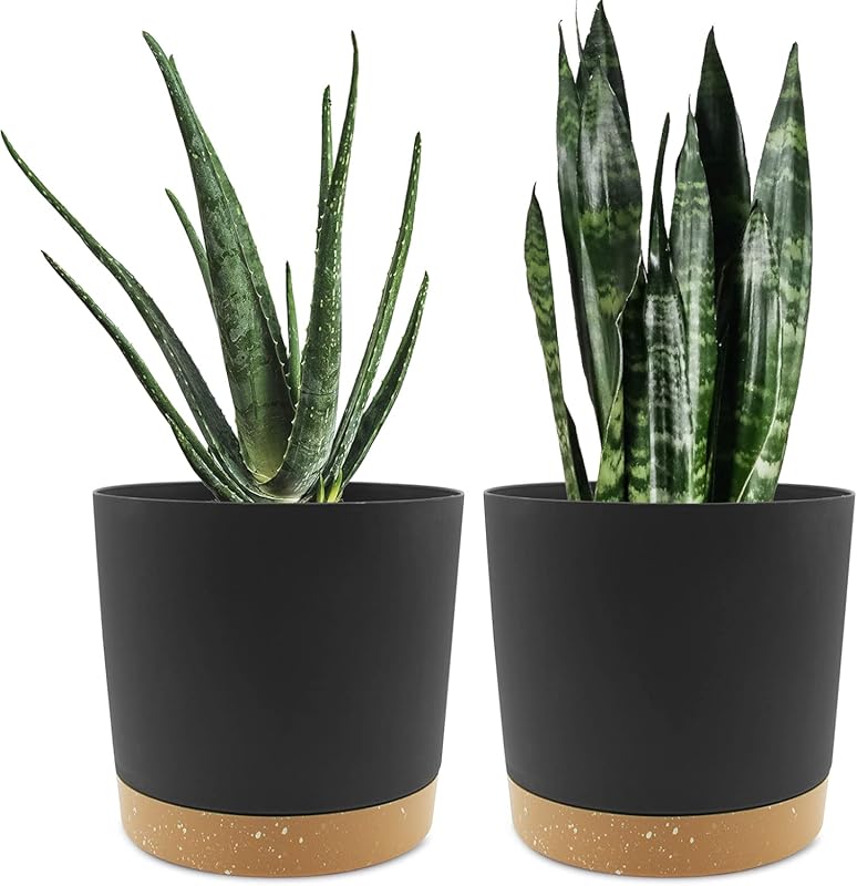 QCQHDU Modern 8-Inch Indoor/Outdoor Plant Pots (2-Pack) with Drainage 