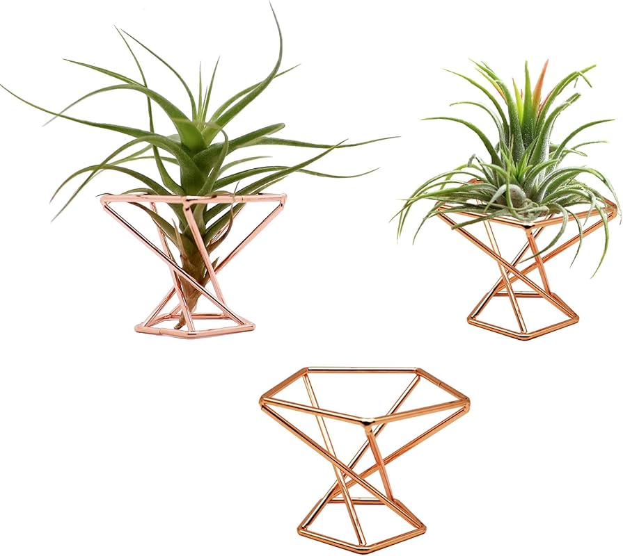 3-Pack Geometric Metal Air Plant Holders