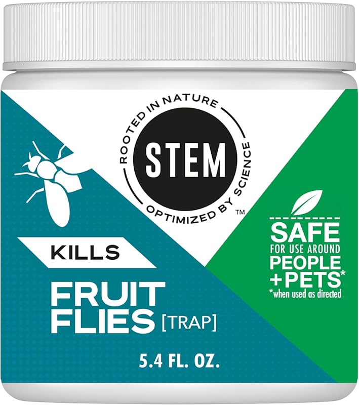 STEM Fruit Fly Trap