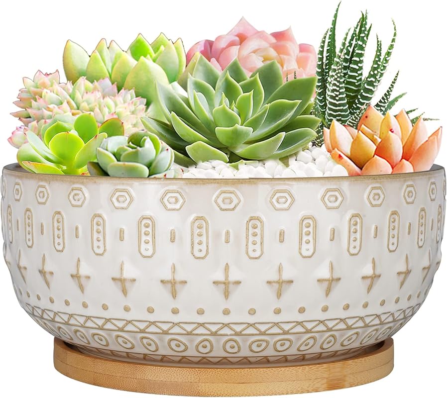8-Inch Round Shallow Ceramic Succulent Planter Pot, Drainage Hole, Bam