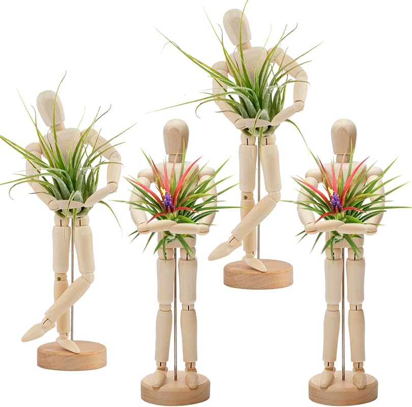 ANPHSIN 4 Pcs Wooden Mannequin Air Plant Holders