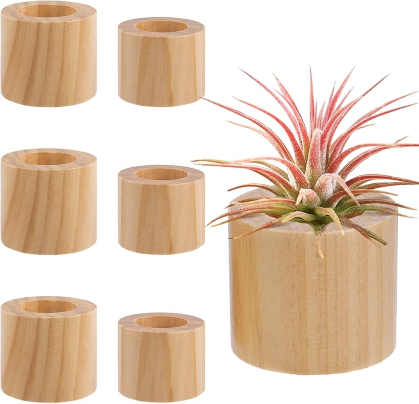 Bigmeta 6 Pcs Wooden Air Plant Holders