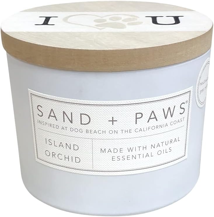 10 Best Candles For Pet Odor: Expert Picks for a Fresh Home