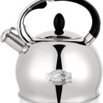 10 Best Non Toxic Tea Kettles: Expert Choices for Pure Water