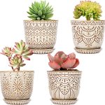 10 Best Pots For Succulents: Expert-Approved For Optimal Plant Health